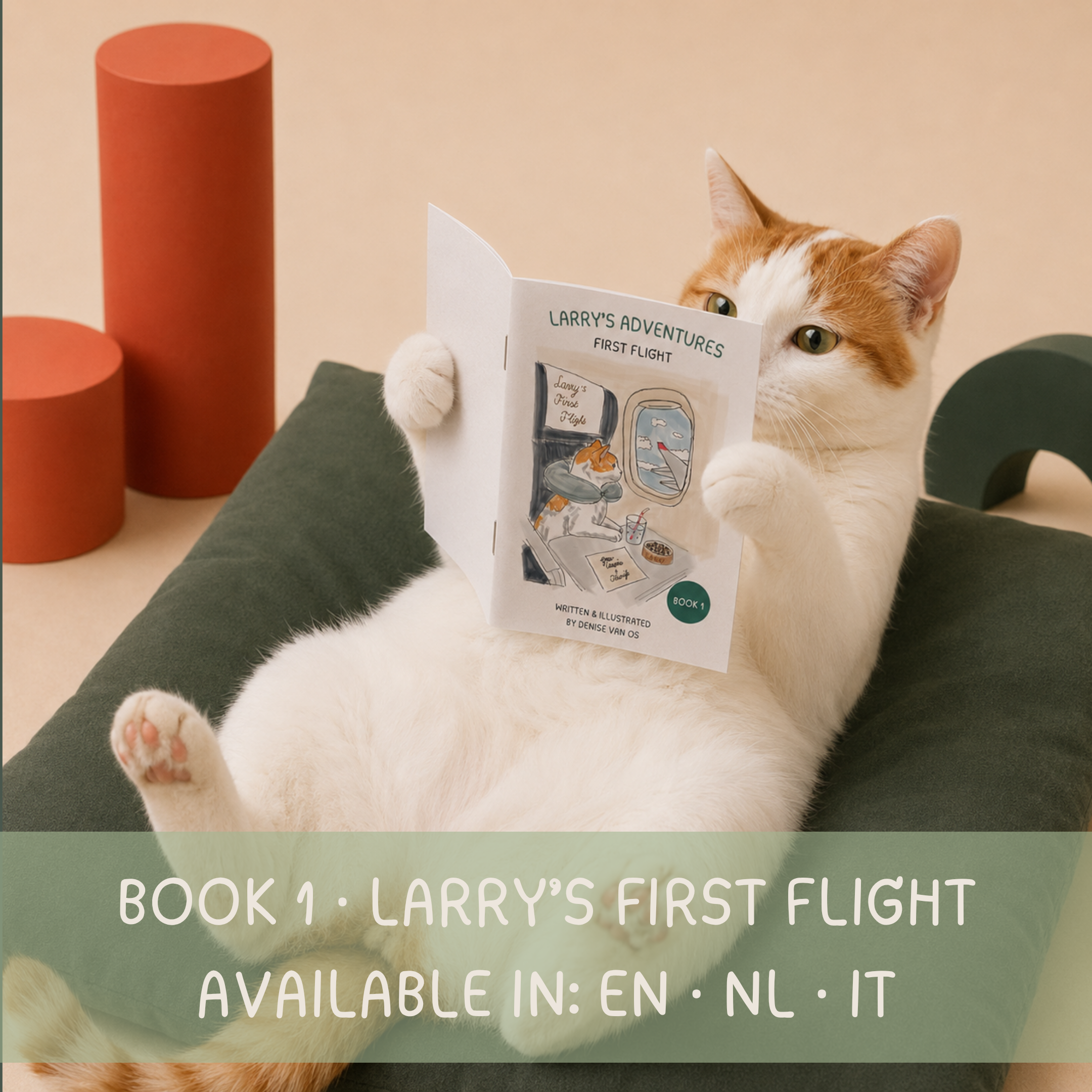 BOOK 1: LARRY’S ADVENTURES  - FIRST FLIGHT