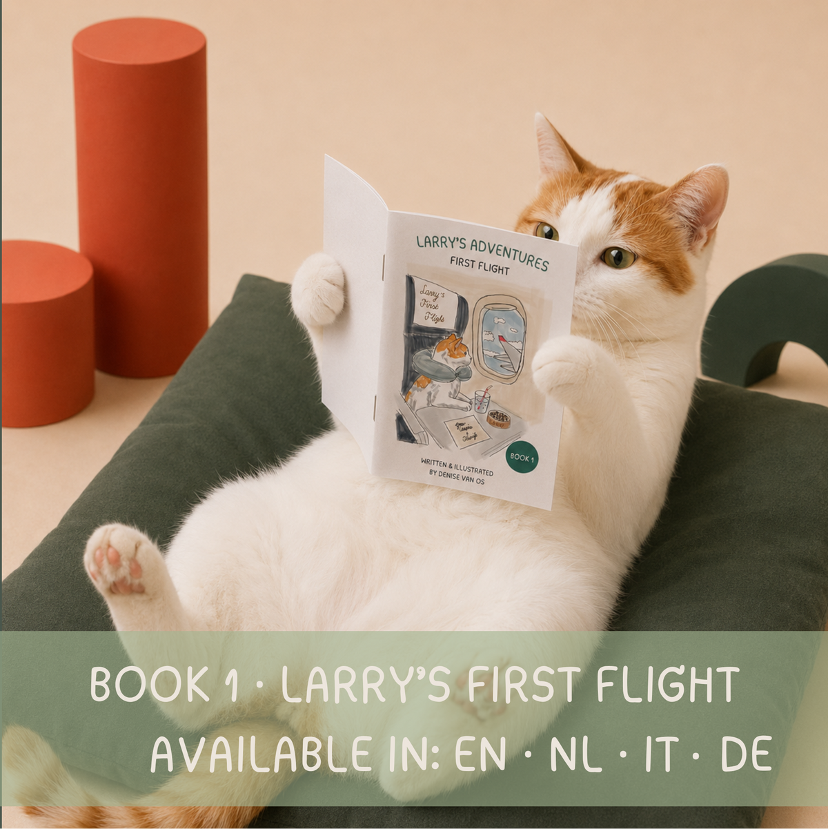 BOOK 1: LARRY’S ADVENTURES  - FIRST FLIGHT