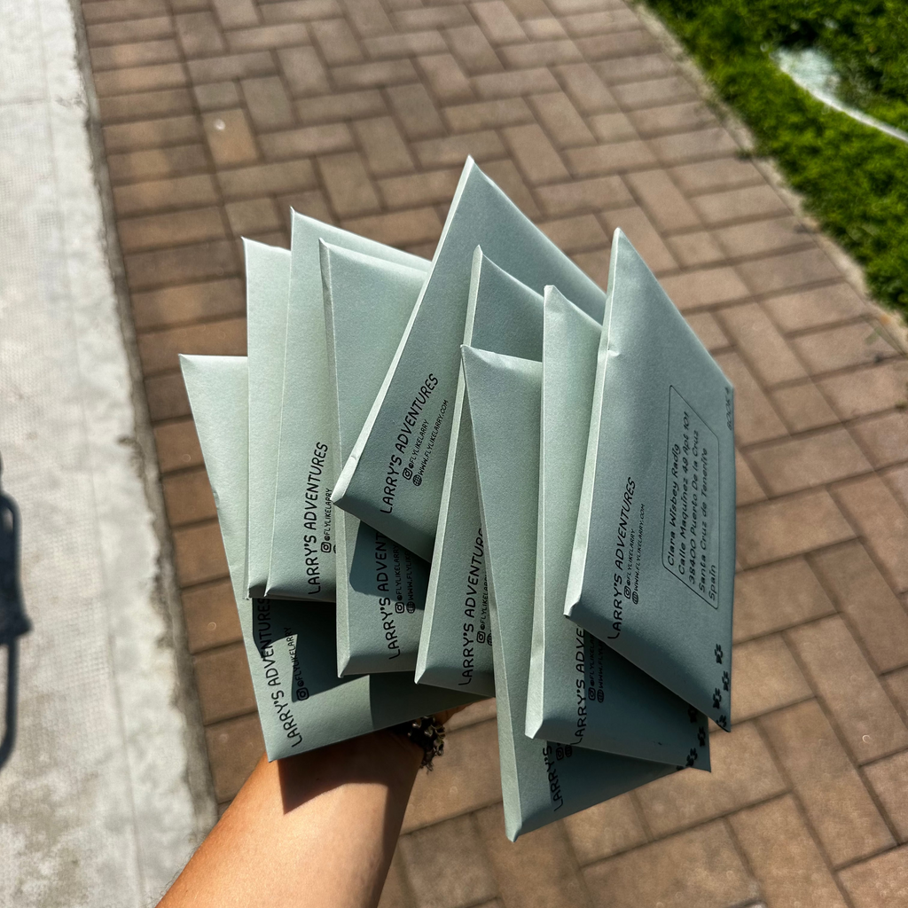 A hand holds several light sage green envelopes printed 