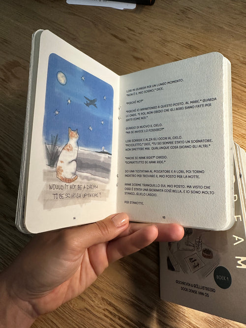 LARRY’S ADVENTURE - BOOK 1 - FIRST FLIGHT