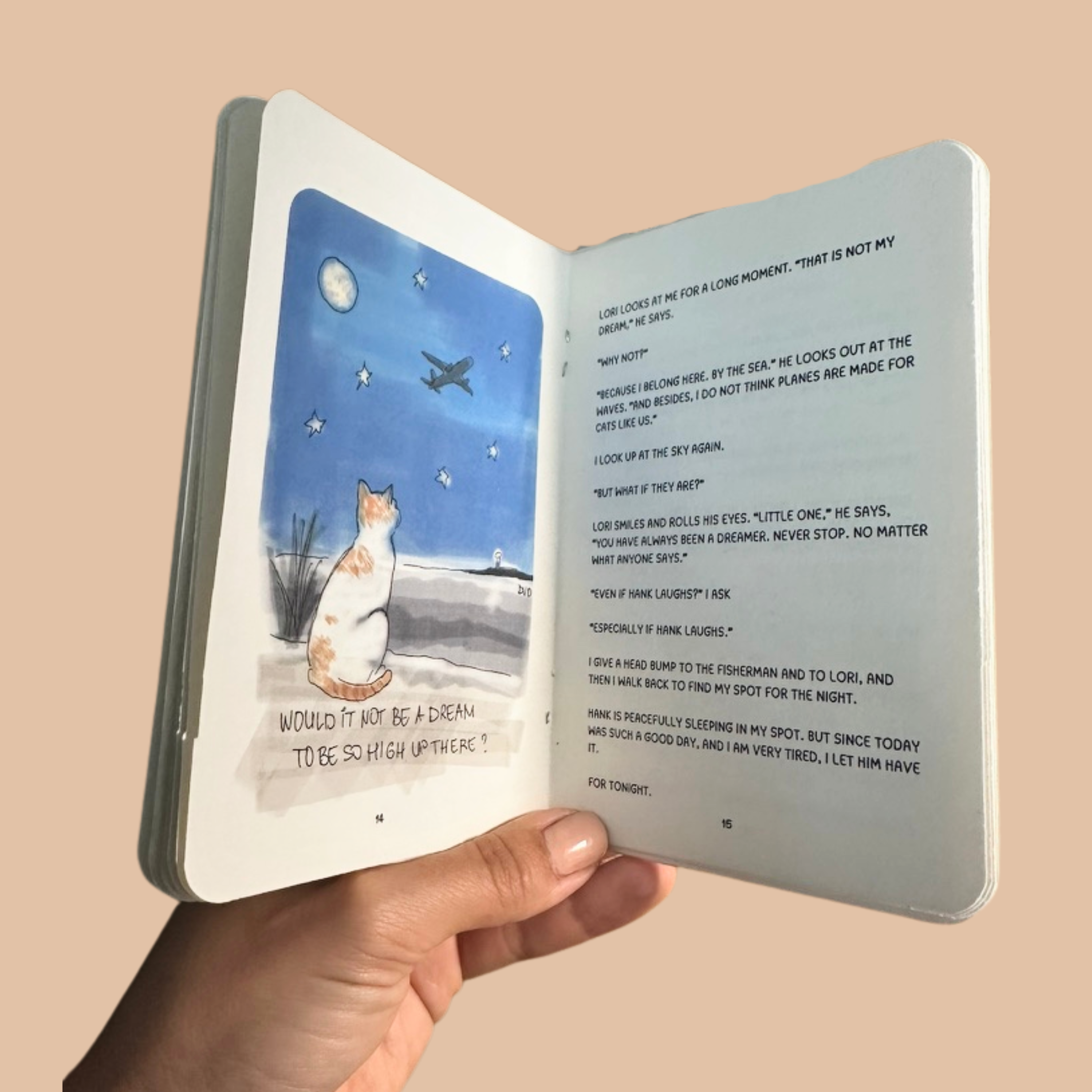 BOOK 1: LARRY’S ADVENTURES  - FIRST FLIGHT