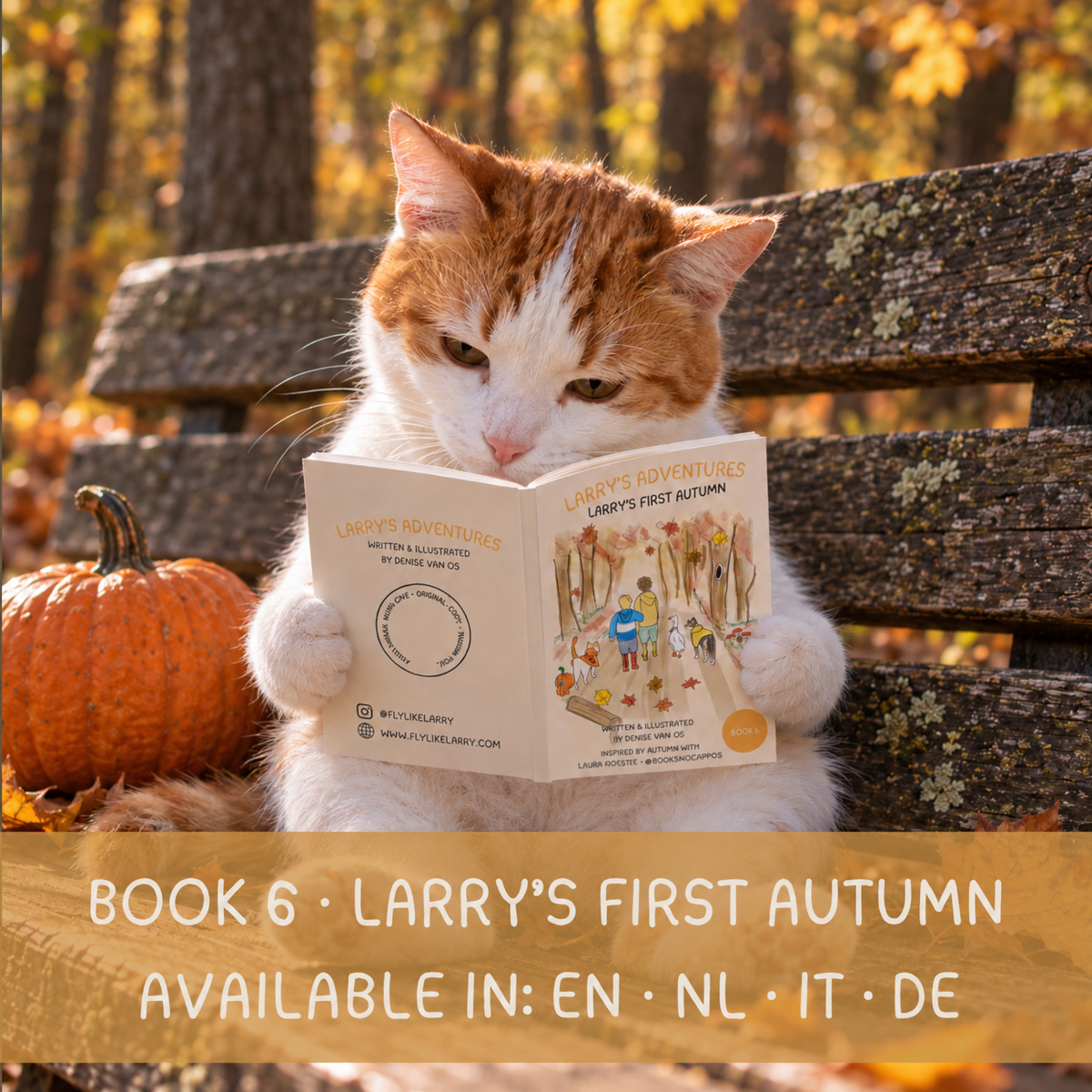 BOOK 6: LARRY'S ADVENTURES - LARRY'S FIRST AUTUMN