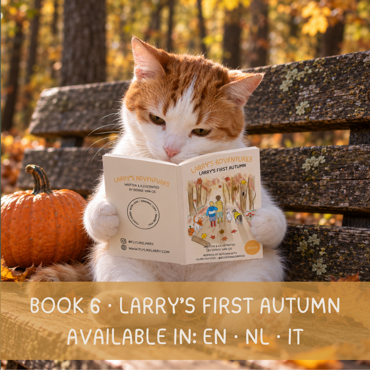 BOOK 6: LARRY'S ADVENTURES - LARRY'S FIRST AUTUMN